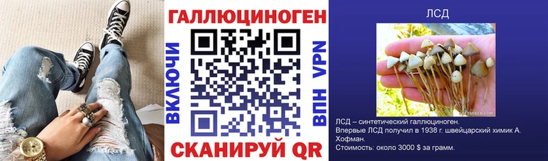 Галлюциногенные грибы GOLDEN TEACHER  где купить   Ковдор 